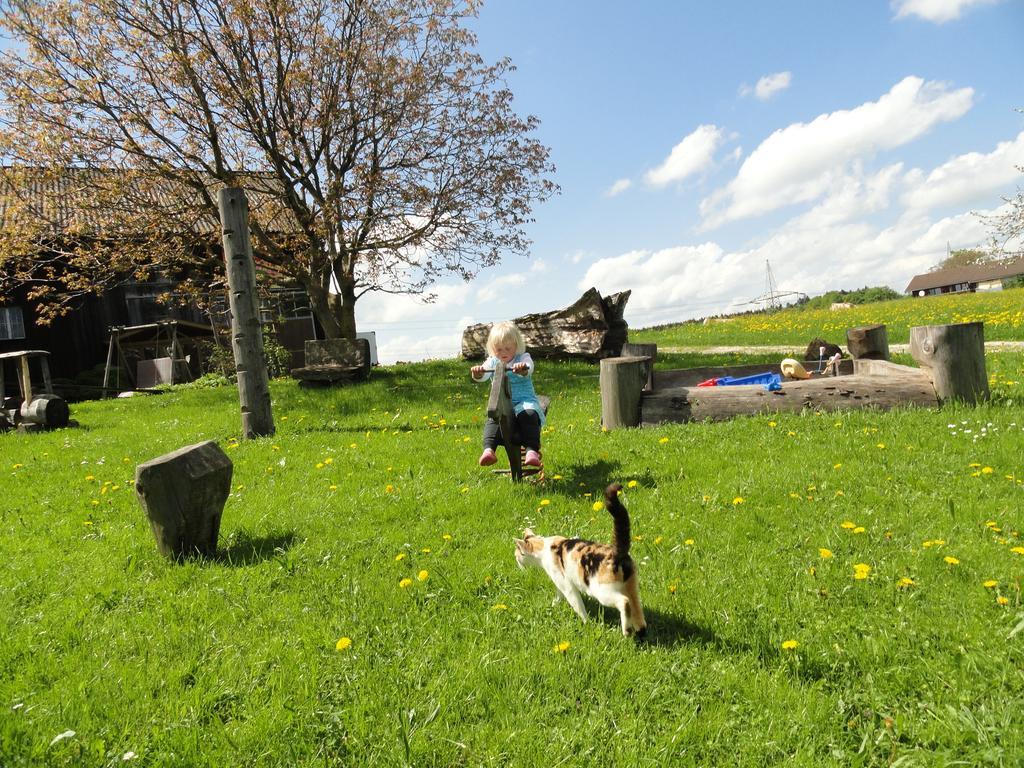 Villa Baby- und Kinderhof Aicherbauer Seeham Exterior foto